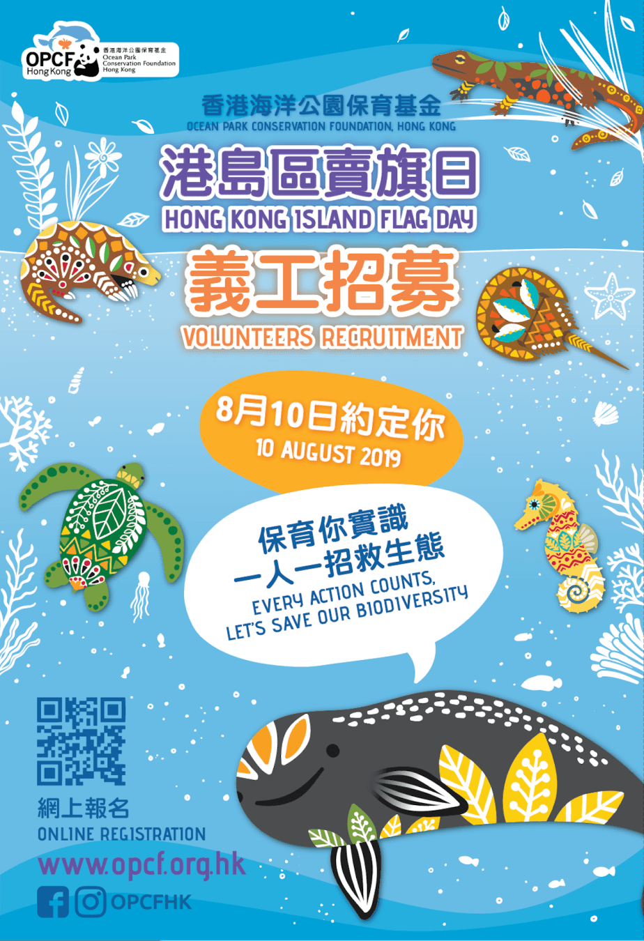 Screenshot 2020-01-11 at 12.48.32 AM