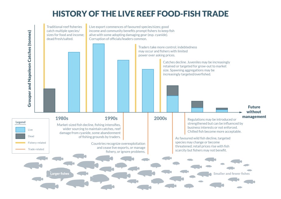 YS_graph_v4_for screen_RGB