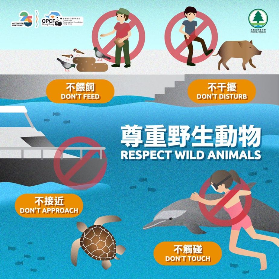 Respect wild animals