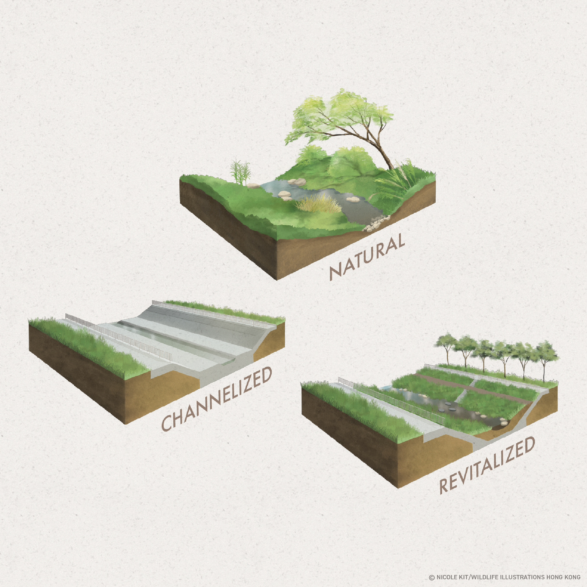 Civil Engineering Channelization River Channelization And Revitalization – Nicole Kit