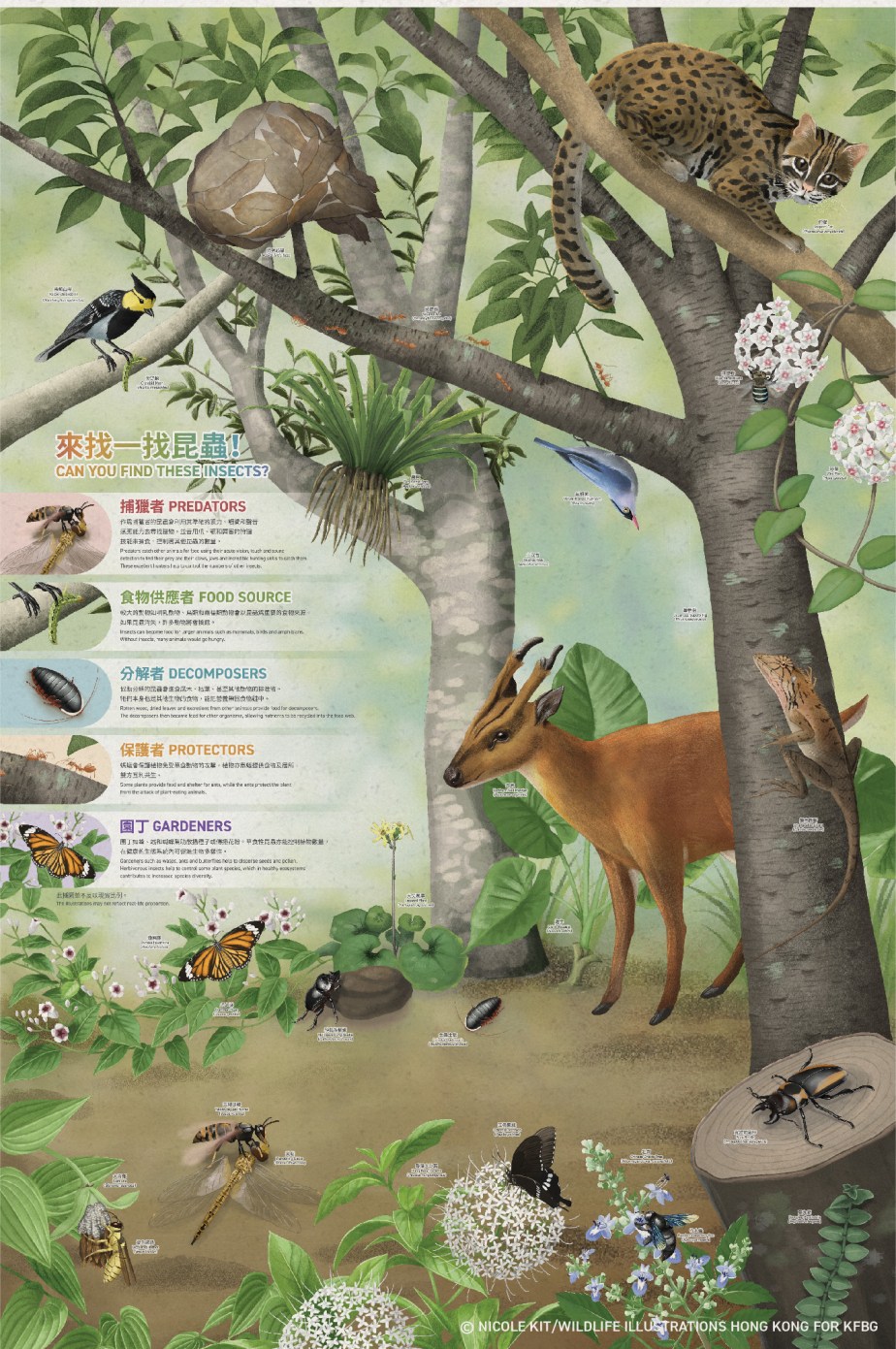 KFBG Insect House&nbsp;Mural