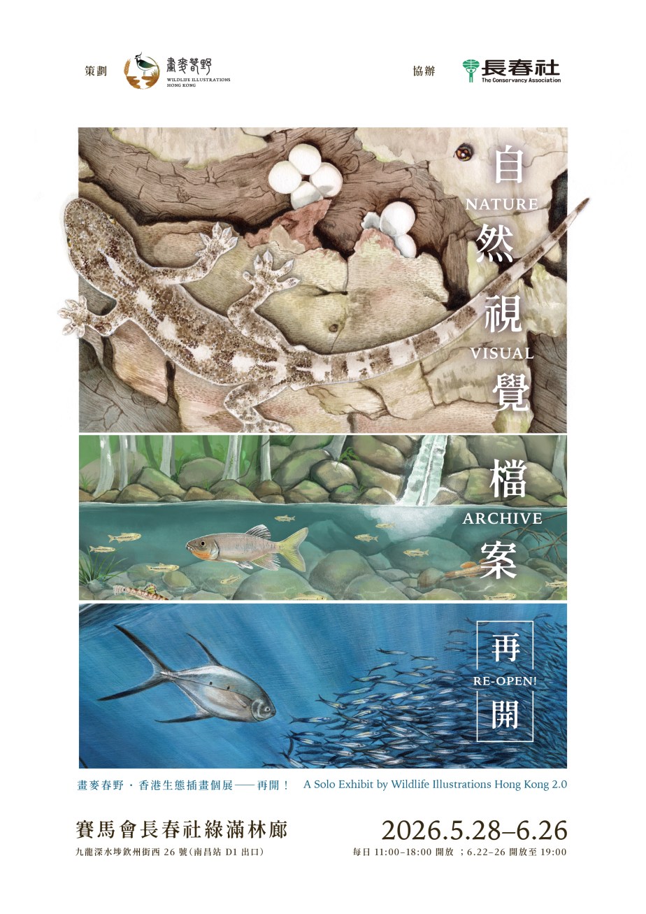 《自然視覺檔案——畫麥春野香港生態插畫個展2.0》