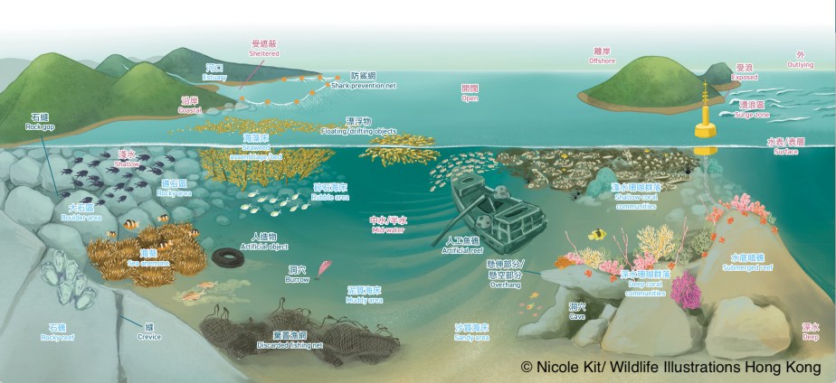 Habitat Drawing with&nbsp;annotations