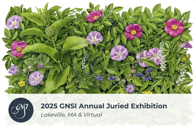 57th Anniversary Juried Member’s Exhibit –&nbsp;2025
