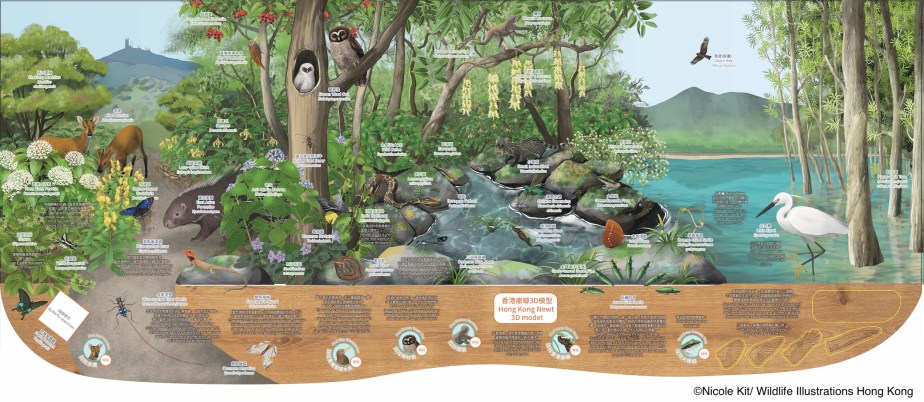 Shing Mun Country Park Interpretive&nbsp;Panel