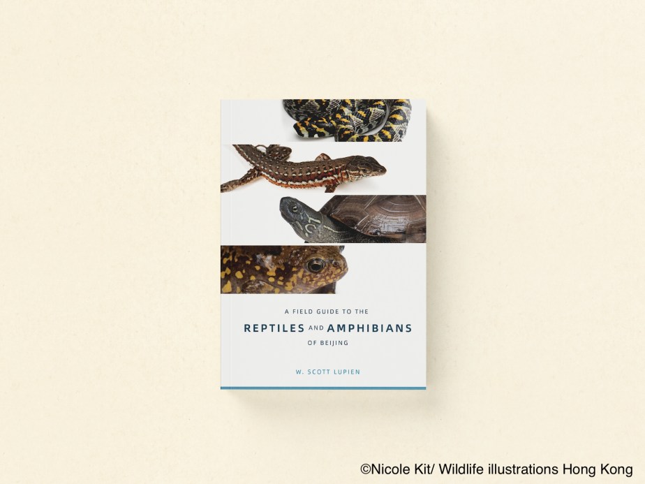 Book Cover: A Field Guide To The Reptiles and Amphibians of&nbsp;Beijing