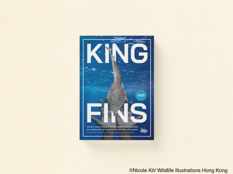 Book Cover: King Fins&nbsp;2025
